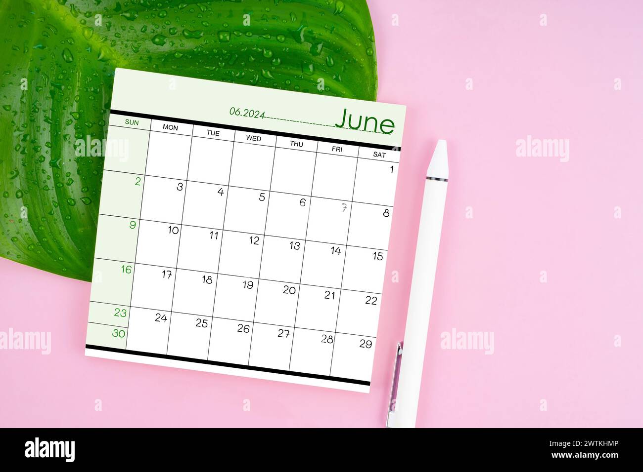 Juin 2024 page de calendrier et feuille verte fraîche avec des gouttes d'eau sur fond de couleur rose. Banque D'Images