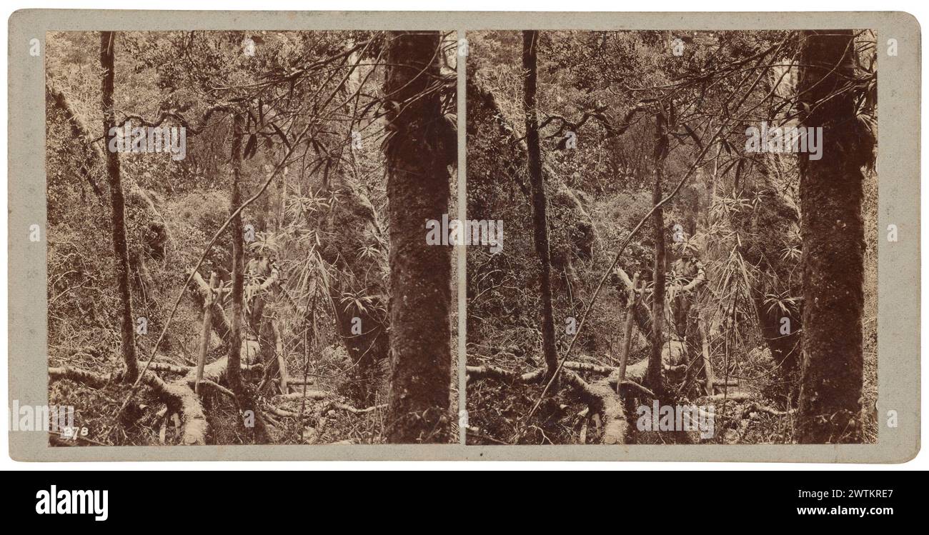 Sur les photographies stéréoscopiques Clinton Track, tirages à l'albumen, tirages en noir et blanc Banque D'Images