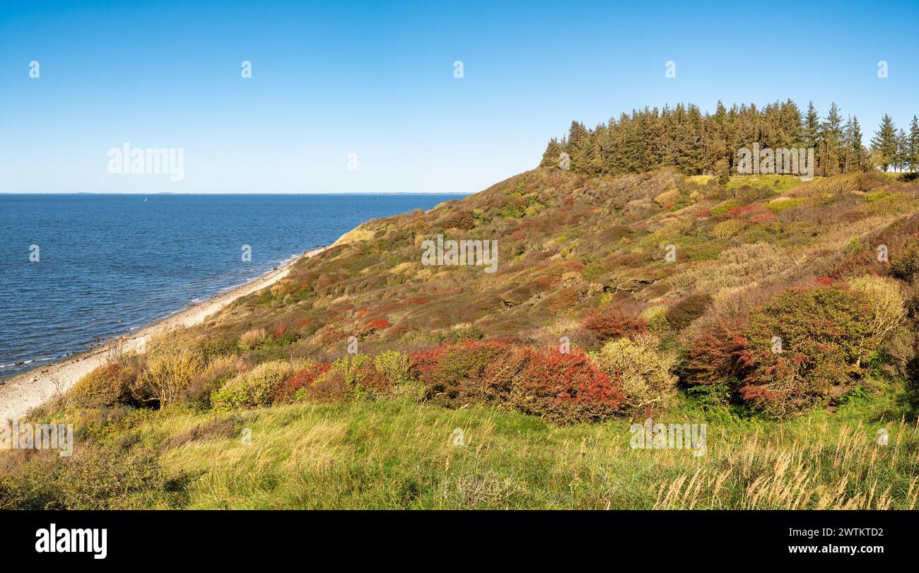 Vue d'automne sur les falaises de la côte ouest, le littoral et les collines couvertes sur l'île de Livø, Limfjord, Nordjylland, Danemark Banque D'Images