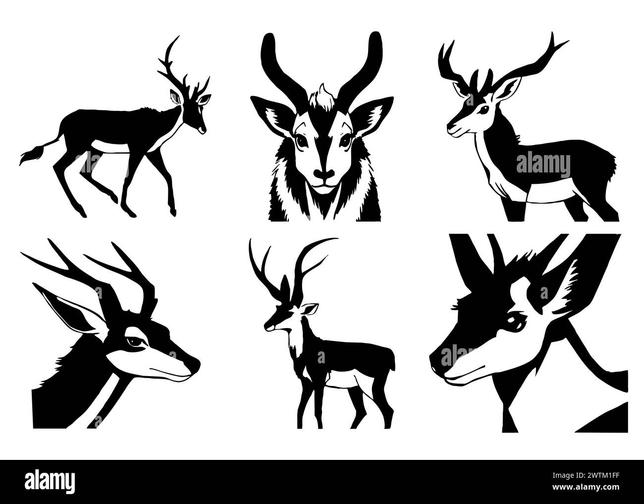 Gazelle noire sur fond blanc. Illustration animale. Banque D'Images