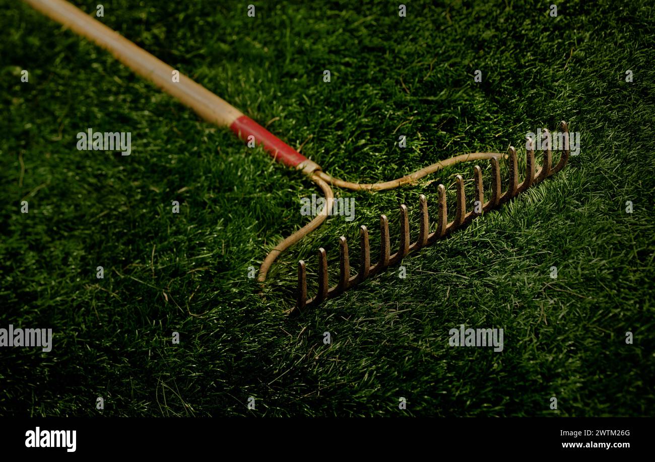 Un râteau couché dangereusement dans l'herbe Banque D'Images
