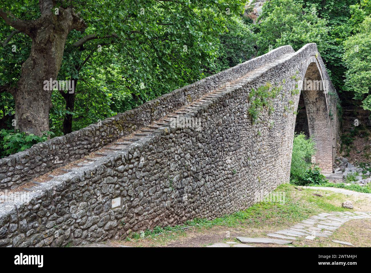 Le vieux pont de pierre de Pyli village de Thessalie, Grèce Banque D'Images