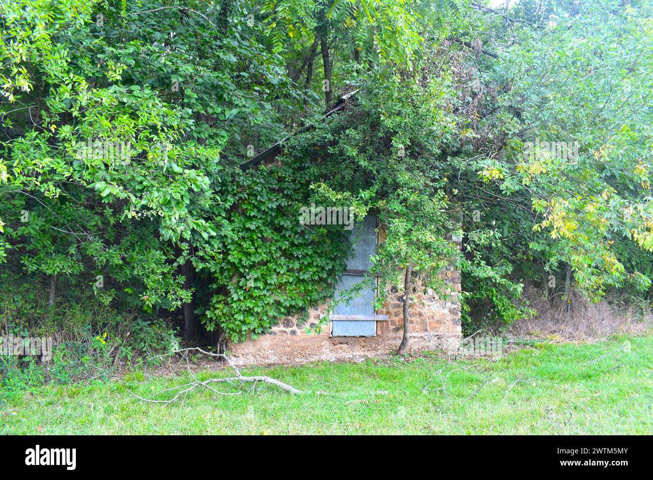 Un vieux bâtiment de roche, couvert de lierre, se dresse près de l'entrée du parc d'État de Big Sugar Creek près de Pineville, Missouri, MO, États-Unis, États-Unis, ÉTATS-UNIS Banque D'Images