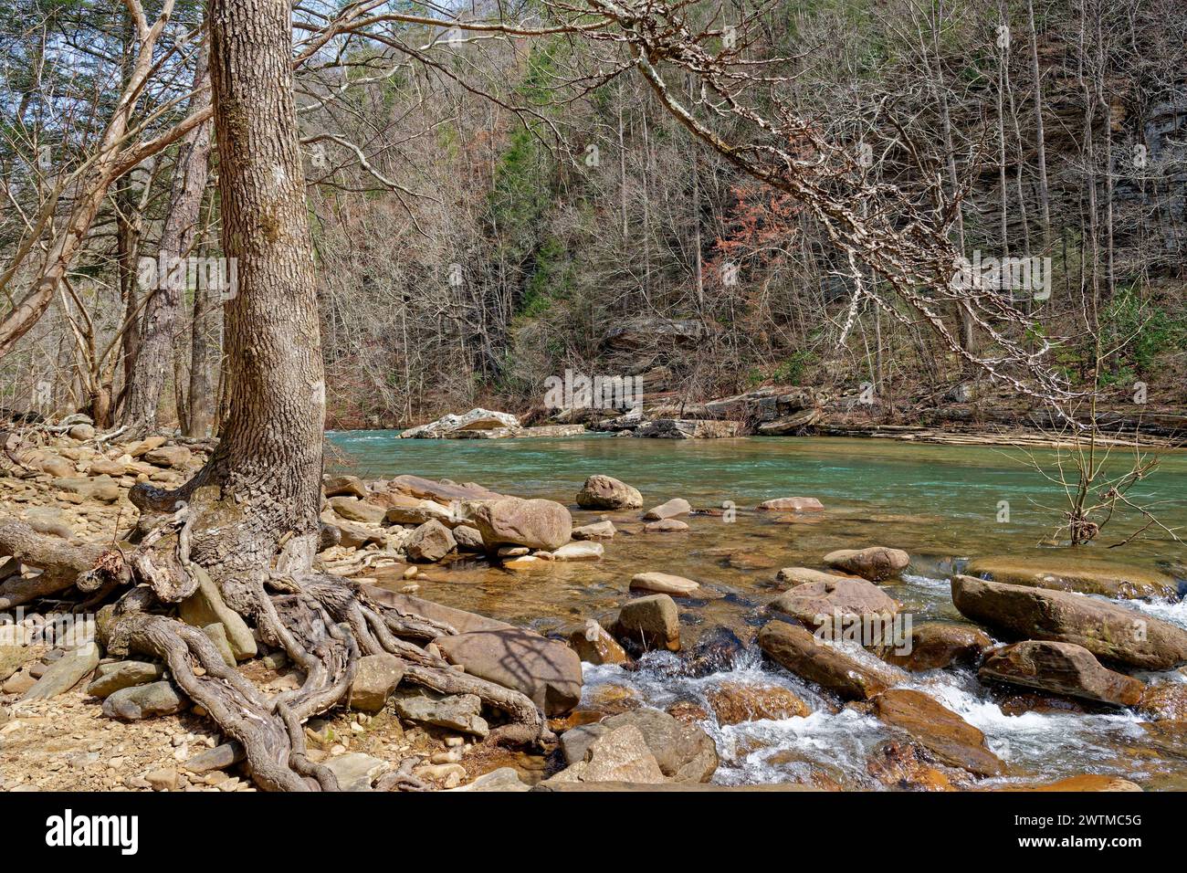 Rivière qui coule rapidement autour des rochers et des rochers avec un arbre aux racines exposées le long du rivage et les falaises avec la forêt dans le backgrou Banque D'Images Rivière qui coule rapidement autour des rochers et des rochers avec un arbre aux racines exposées le long du rivage et les falaises avec la forêt dans le backgrou Banque D'Images