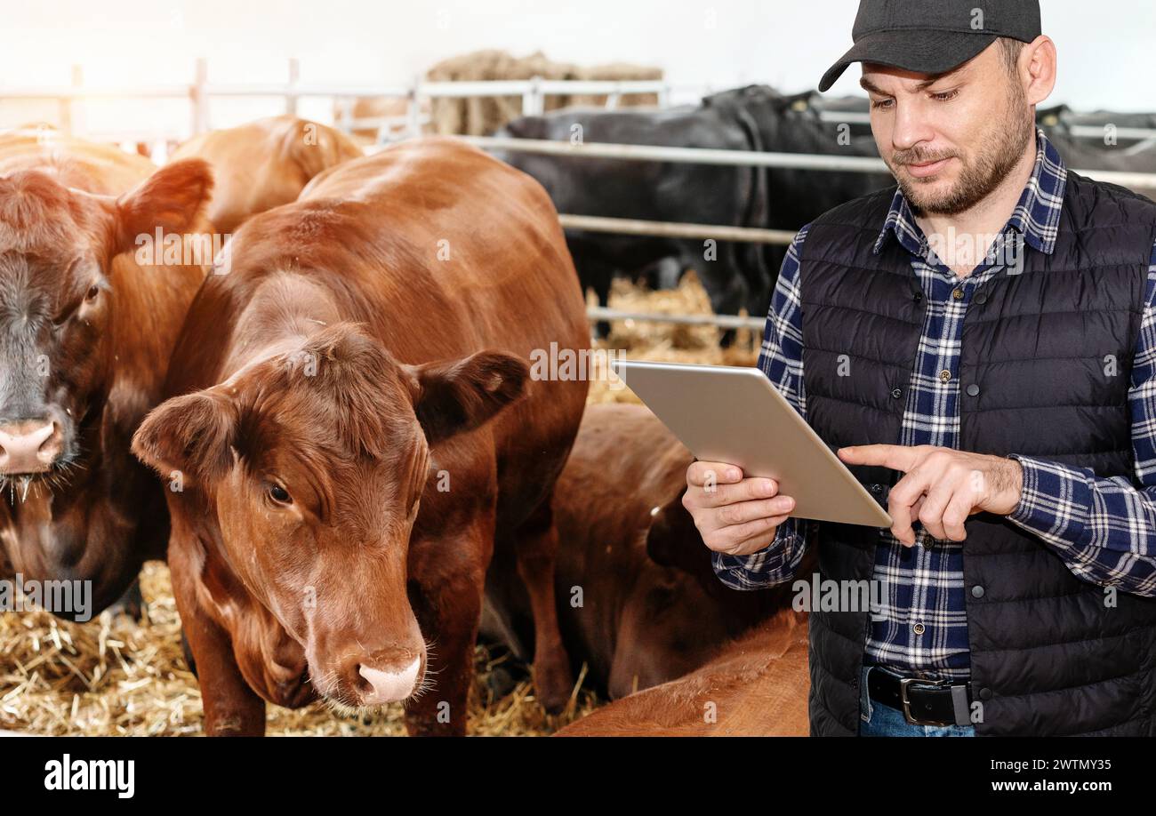 Agriculteur moderne utilisant une tablette numérique sur son élevage. La technologie de l'intelligence artificielle dans l'élevage Banque D'Images