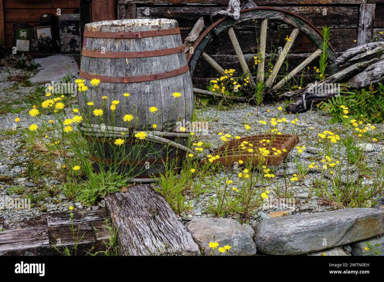 Reliques de l'ancien temps dans l'ancienne ville minière d'or de Ross, région de la côte ouest, Île du Sud, Nouvelle-Zélande Banque D'Images