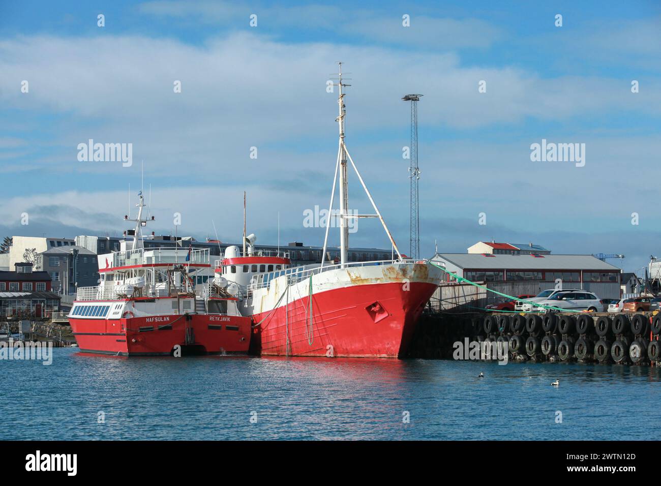 Reykjavik, Islande - 4 avril 2017 : le navire à passagers pour l'observation des baleines est amarré dans le port de Reykjavik près des bateaux de pêche Banque D'Images