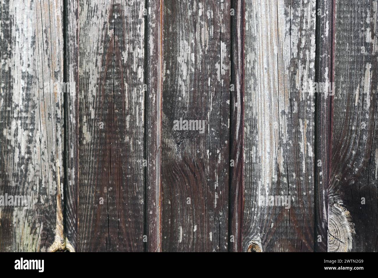 vieux fond rustique gris en bois. Banque D'Images