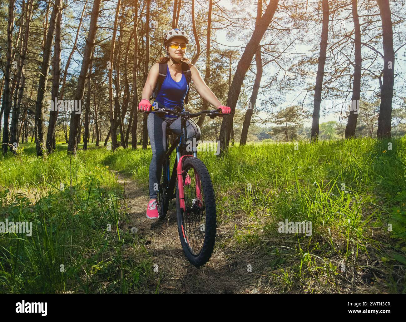 Une jeune femme - un athlète dans un casque à vélo de montagne en dehors de la ville, sur la route dans une forêt de pins un jour d'été. Banque D'Images