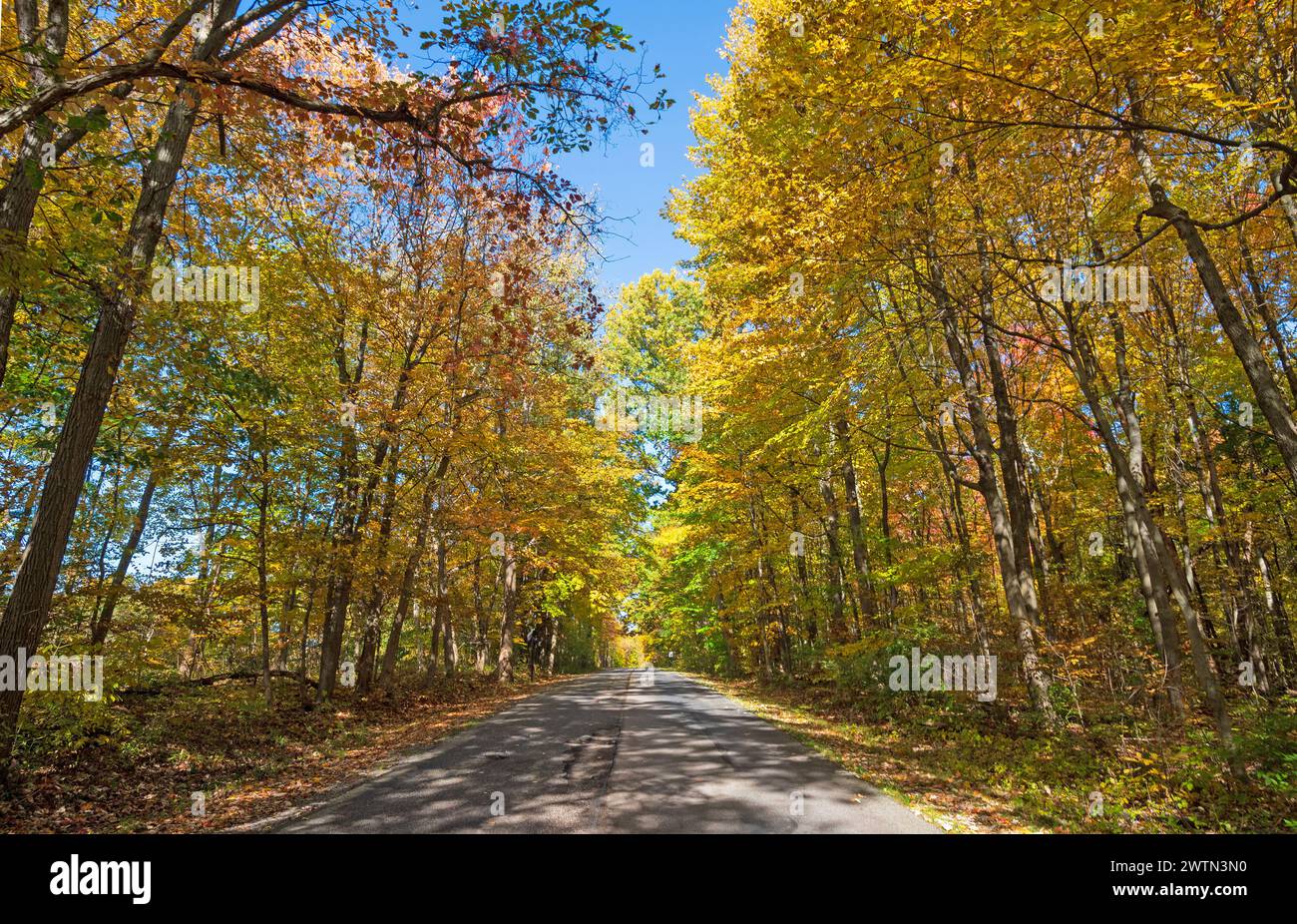 Route de campagne à l'automne dans le parc national de Cuyahoga Valley dans l'Ohio Banque D'Images