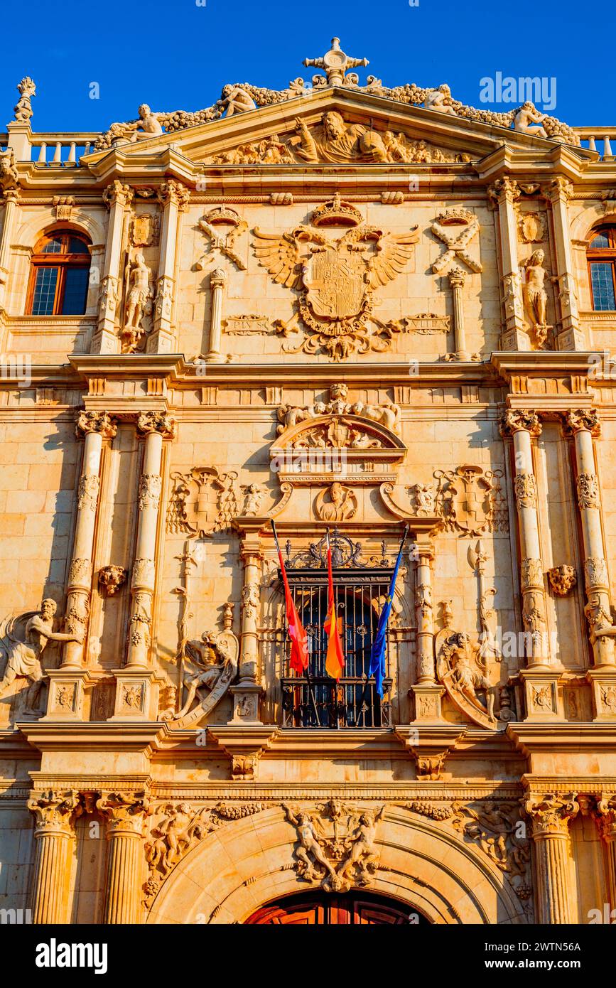 Détail plateresque façade. Colegio Mayor de San Ildefonso - Collège Saint Ildephonse. Université de Alcalá. Alcalá de Henares, Comunidad de Madrid, SP Banque D'Images