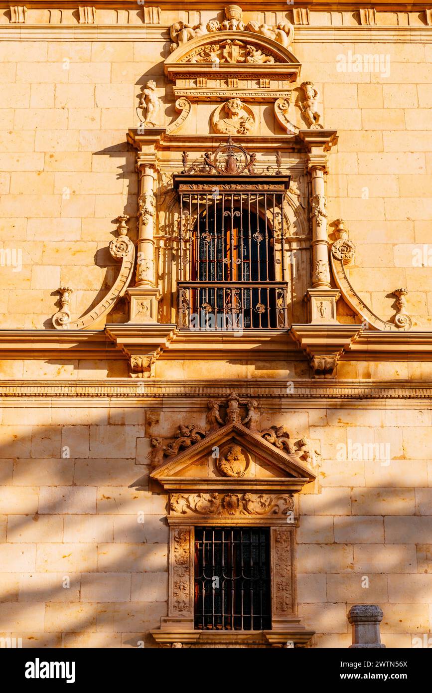 Fenêtre et figures allégoriques. Détail plateresque façade. Colegio Mayor de San Ildefonso - Collège Saint Ildephonse. Université de Alcalá. Alcalá de Banque D'Images