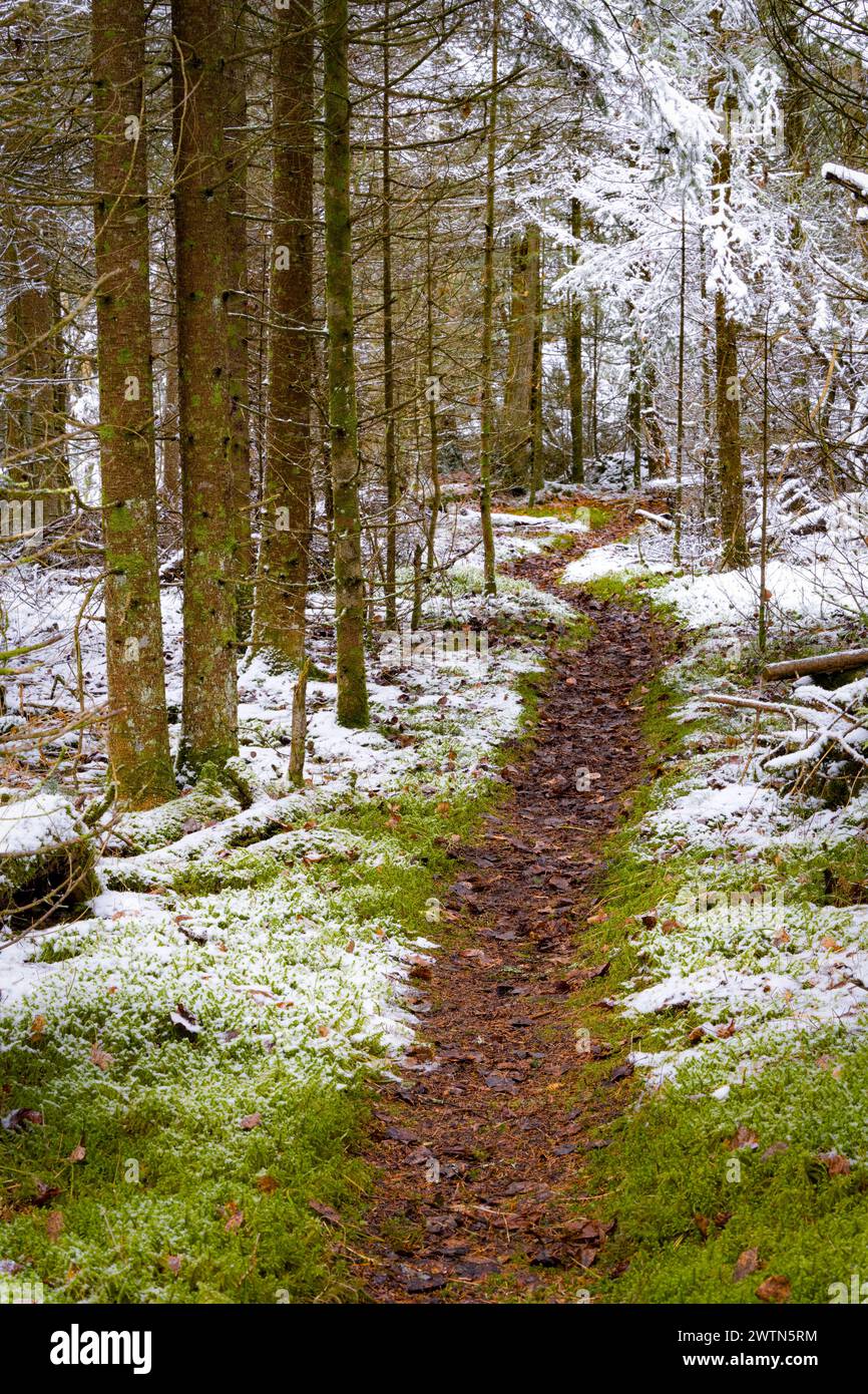Door County Wisconsin a des kilomètres de sentiers et de rivage à explorer. En hiver, vous pouvez simplement mettre des bottes de randonnée chaudes, des raquettes ou des skis et explorer Banque D'Images