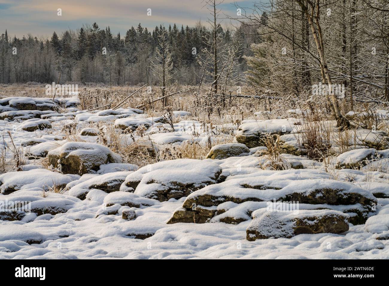 Door County Wisconsin a des kilomètres de sentiers et de rivage à explorer. En hiver, vous pouvez simplement mettre des bottes de randonnée chaudes, des raquettes ou des skis et explorer Banque D'Images