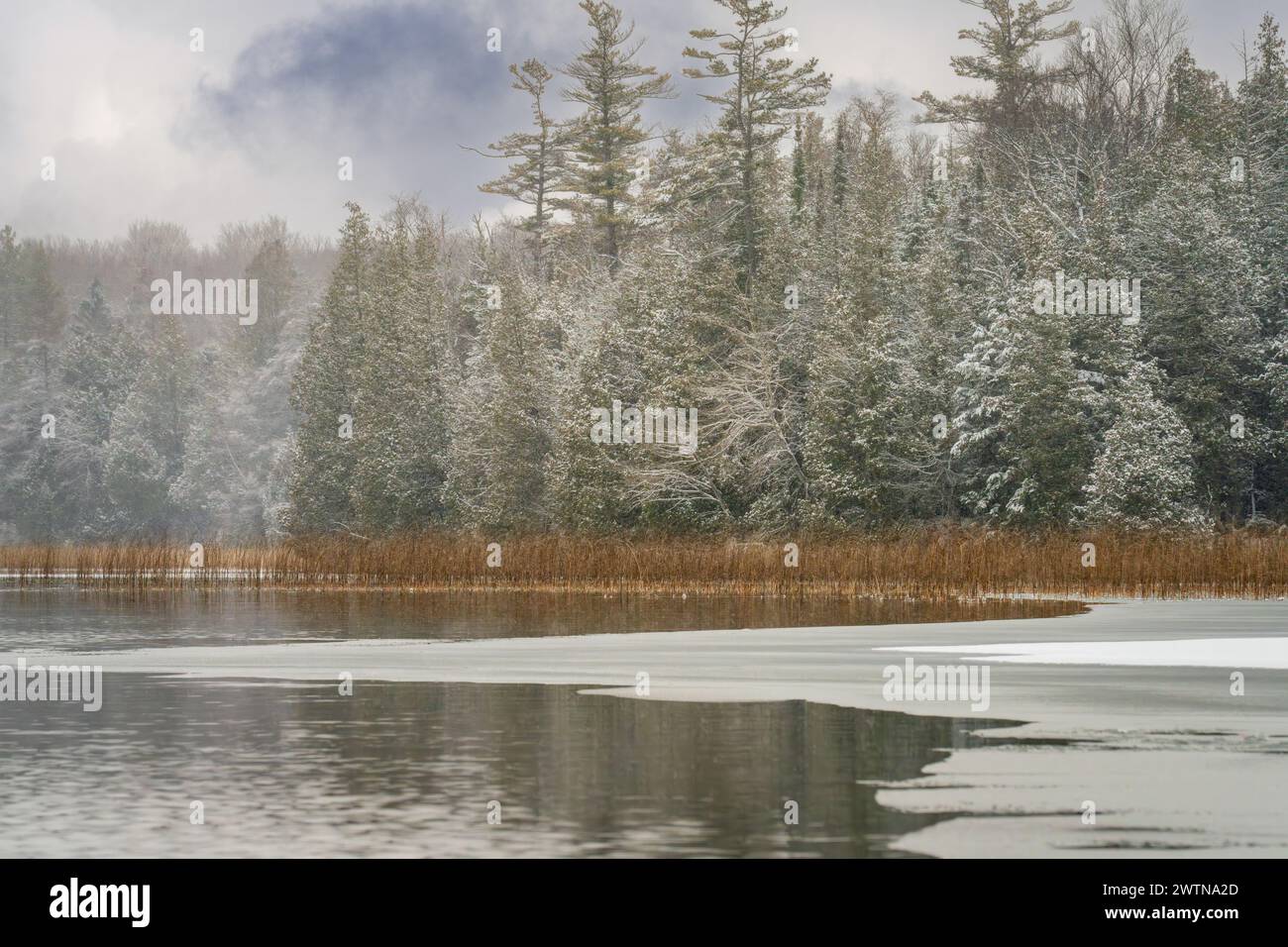 Door County Wisconsin a des kilomètres de sentiers et de rivage à explorer. En hiver, vous pouvez simplement mettre des bottes de randonnée chaudes, des raquettes ou des skis et explorer Banque D'Images