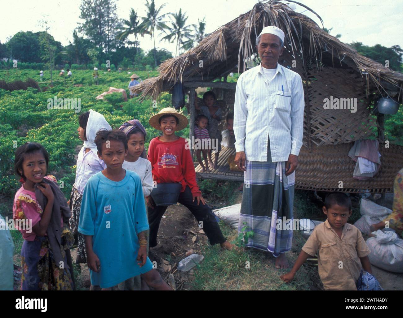 Feldarbeit auf Lombok. Auch die Kinder helfen mit. Des enfants travaillent également dans les champs de l'île de Lombok Banque D'Images
