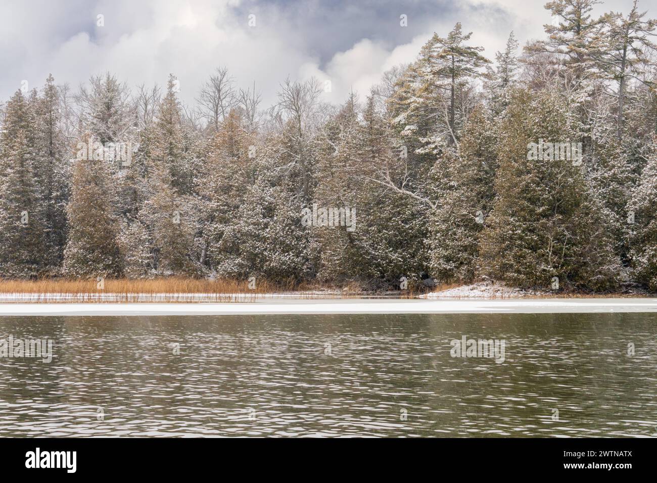 Door County Wisconsin a des kilomètres de sentiers et de rivage à explorer. En hiver, vous pouvez simplement mettre des bottes de randonnée chaudes, des raquettes ou des skis et explorer Banque D'Images