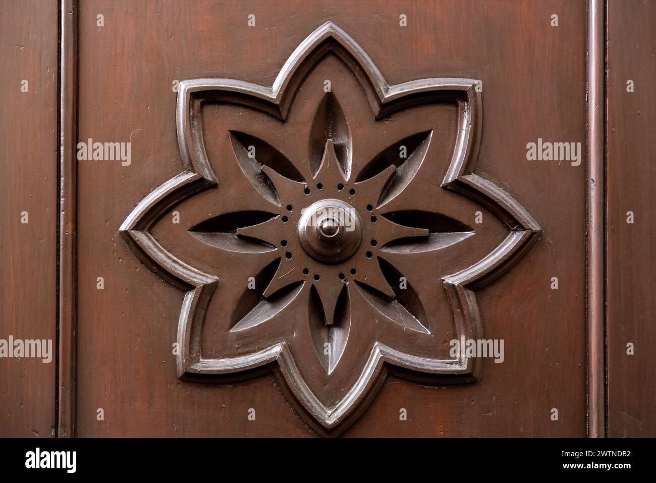 Détail d'une porte en bois avec gravure de motif floral, fragment de porte en bois de style européen Banque D'Images