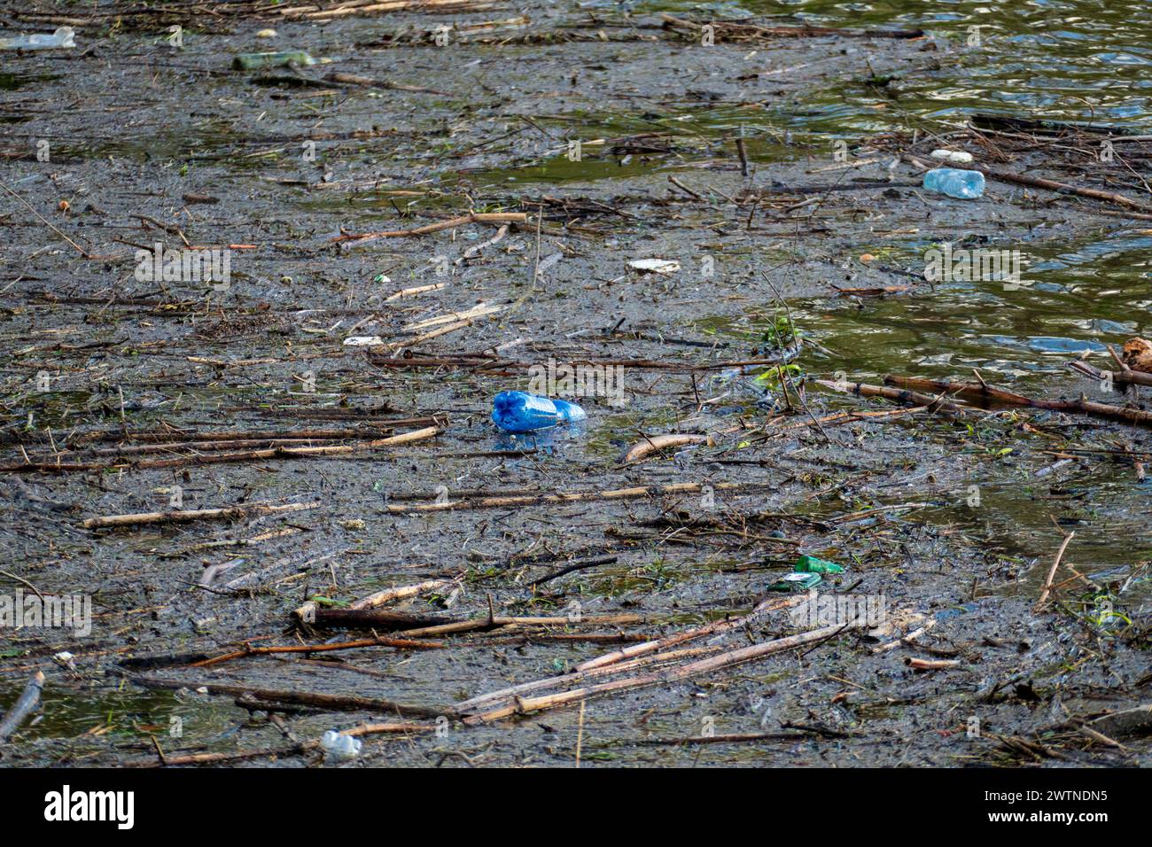 Wasserverschmutzung durch Plastikflaschen und Abfall auf dem Rhein Banque D'Images