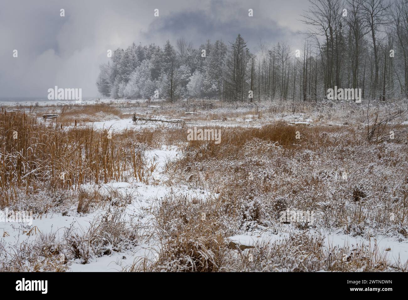 Door County Wisconsin a des kilomètres de sentiers et de rivage à explorer. En hiver, vous pouvez simplement mettre des bottes de randonnée chaudes, des raquettes ou des skis et explorer Banque D'Images