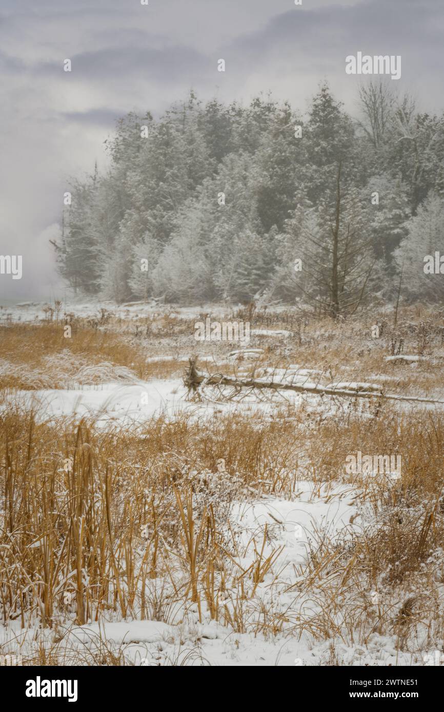 Door County Wisconsin a des kilomètres de sentiers et de rivage à explorer. En hiver, vous pouvez simplement mettre des bottes de randonnée chaudes, des raquettes ou des skis et explorer Banque D'Images
