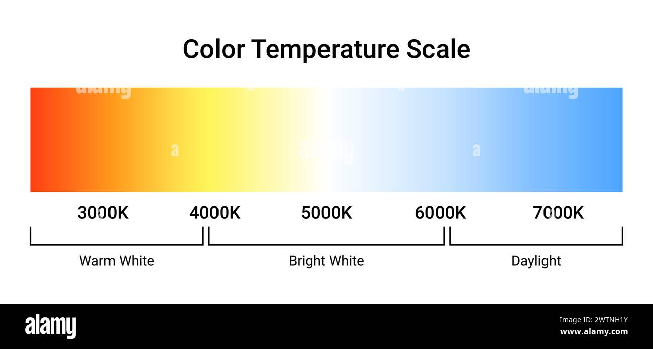 Gradient du diagramme de l'échelle de température Kelvin. Échelle Kelvin éducation LED couleur chaude froid froid chaud spectre chaud. Illustration de Vecteur
