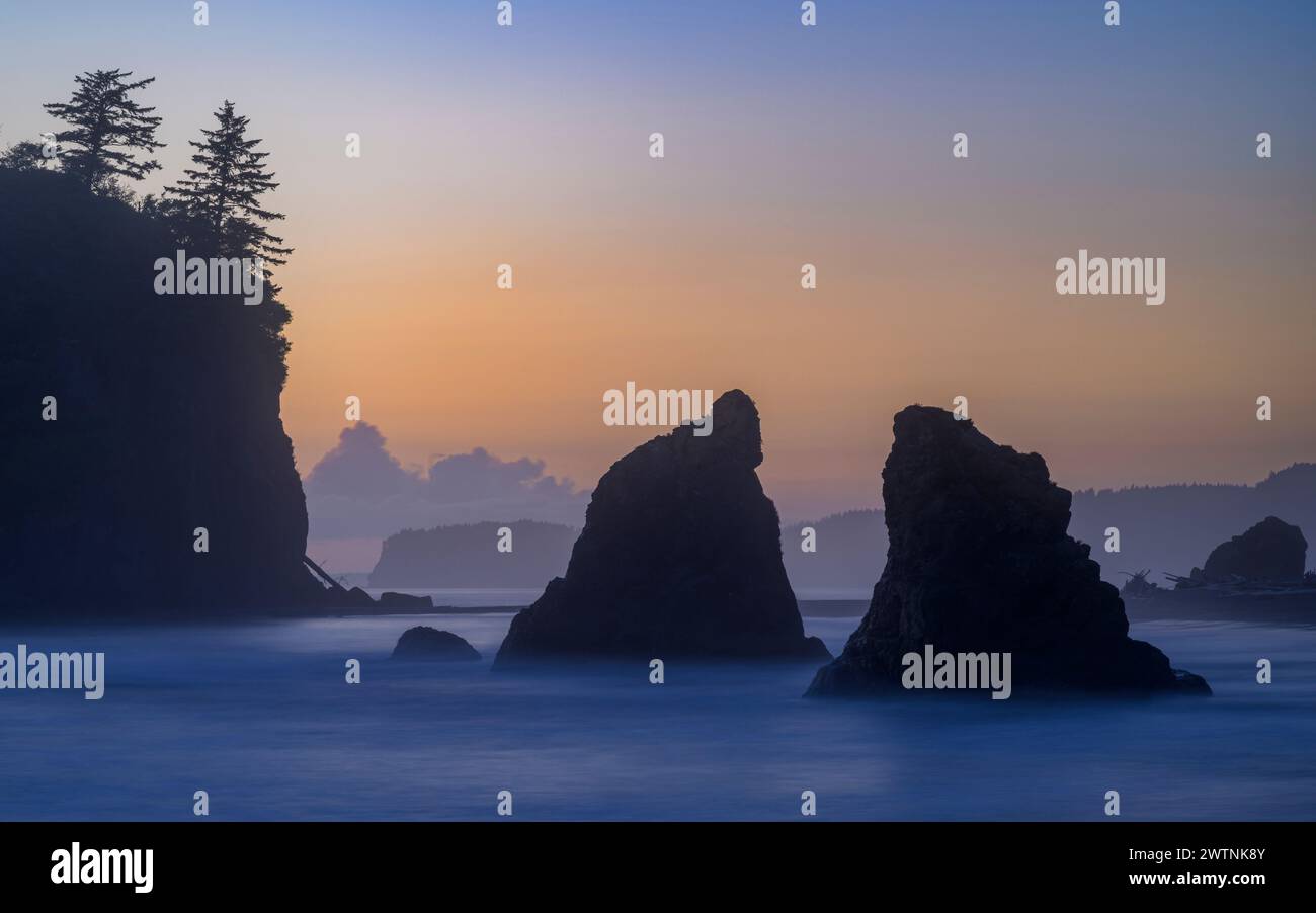 Piles marines de Ruby Beach, Parc National Olympique, Washington, États-Unis. Banque D'Images Piles marines de Ruby Beach, Parc National Olympique, Washington, États-Unis. Banque D'Images