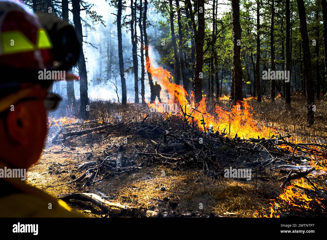 Les pompiers du New Jersey Forest Fire Service surveillent les sous-bois lors d'une démonstration de coupe-feu à Manchester Township, N.J. à Manchester Township, N.J. le 13 mars 2024. Les responsables ont visité une pause stratégique pour le combustible forestier dans le canton de Manchester, dans le comté d’Ocean, l’un des trois projets de résilience aux feux de forêt dans les Pinelands financés par le programme de préparation et d’intégration de la protection de l’environnement du ministère de la Défense des États-Unis. REPI facilite les partenariats à long terme pour améliorer la résilience au changement climatique, préserver les habitats fauniques et les ressources naturelles, et promouvoir un réseau local durable Banque D'Images