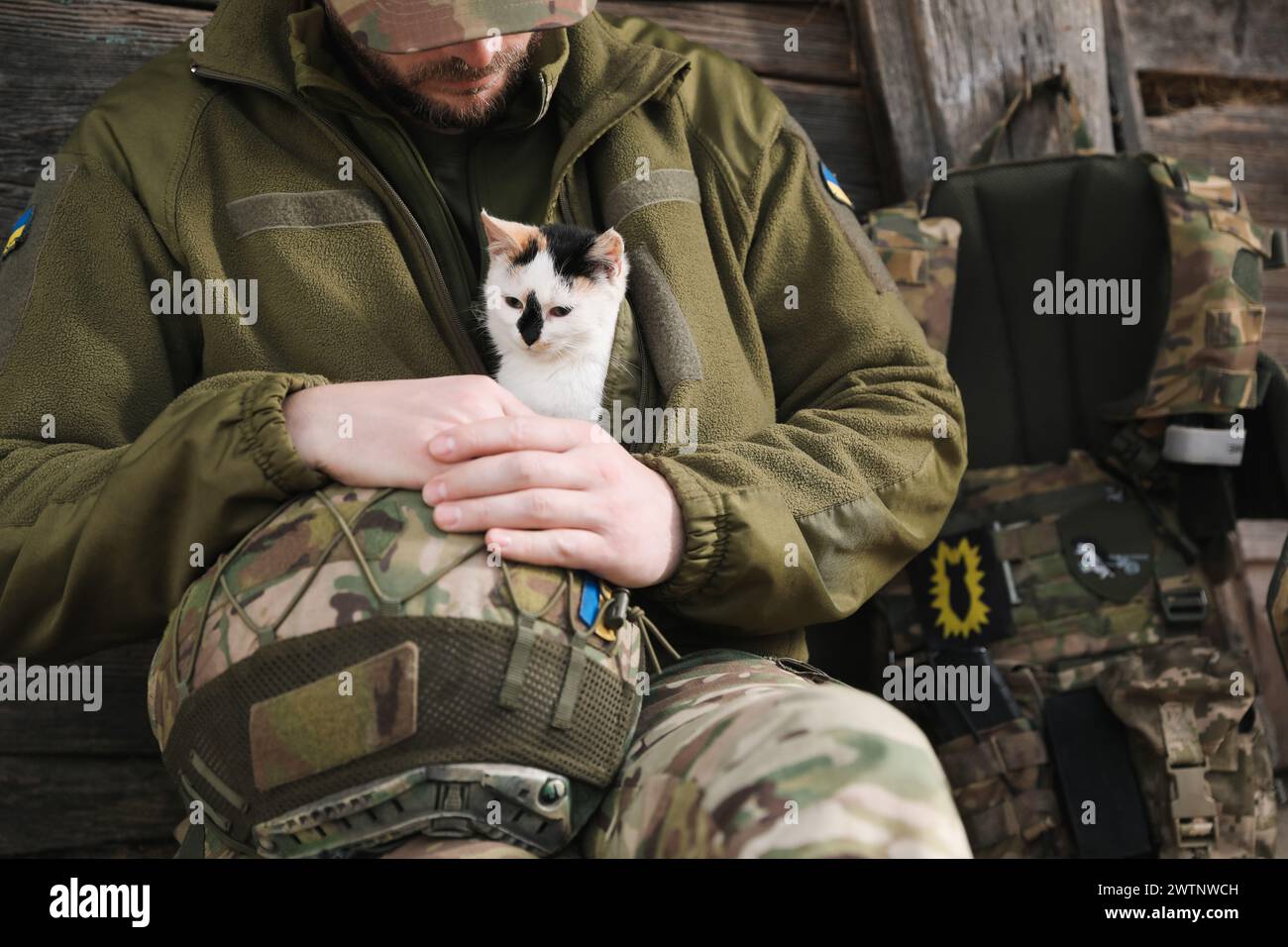 Soldat ukrainien en uniforme réchauffant petit chat errant à l'intérieur, gros plan Banque D'Images