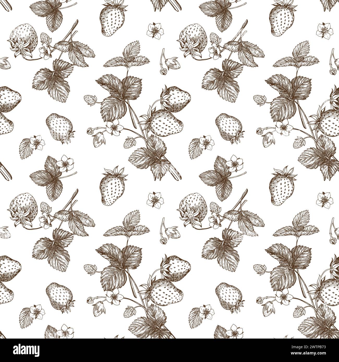 Croquis de motif de fraise. Baies, fleurs, branches et feuilles sur fond blanc. Vecteur Illustration de Vecteur