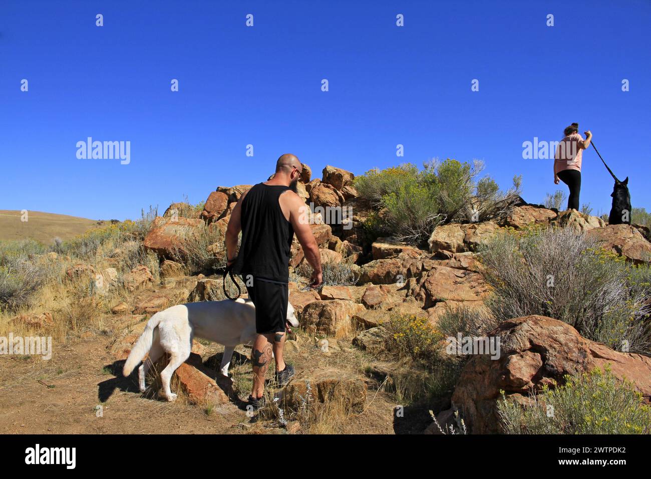 Randonneurs à Antelope Island marchant là-bas chiens sur un sentier avec ciel bleu en plein air Banque D'Images