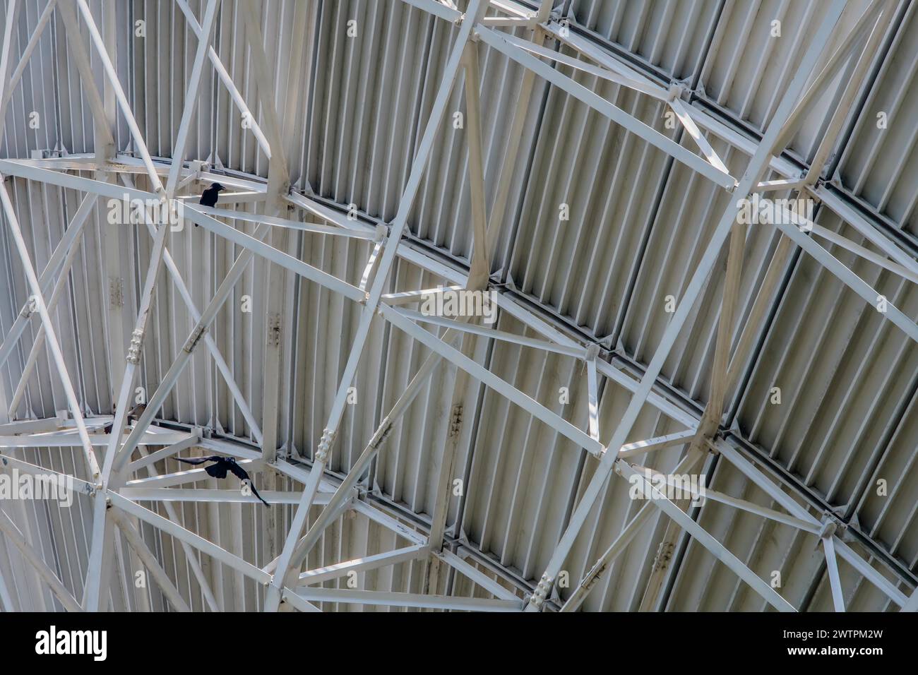 Vue détaillée de la construction en acier avec un motif de grille géométrique, en Corée du Sud Banque D'Images