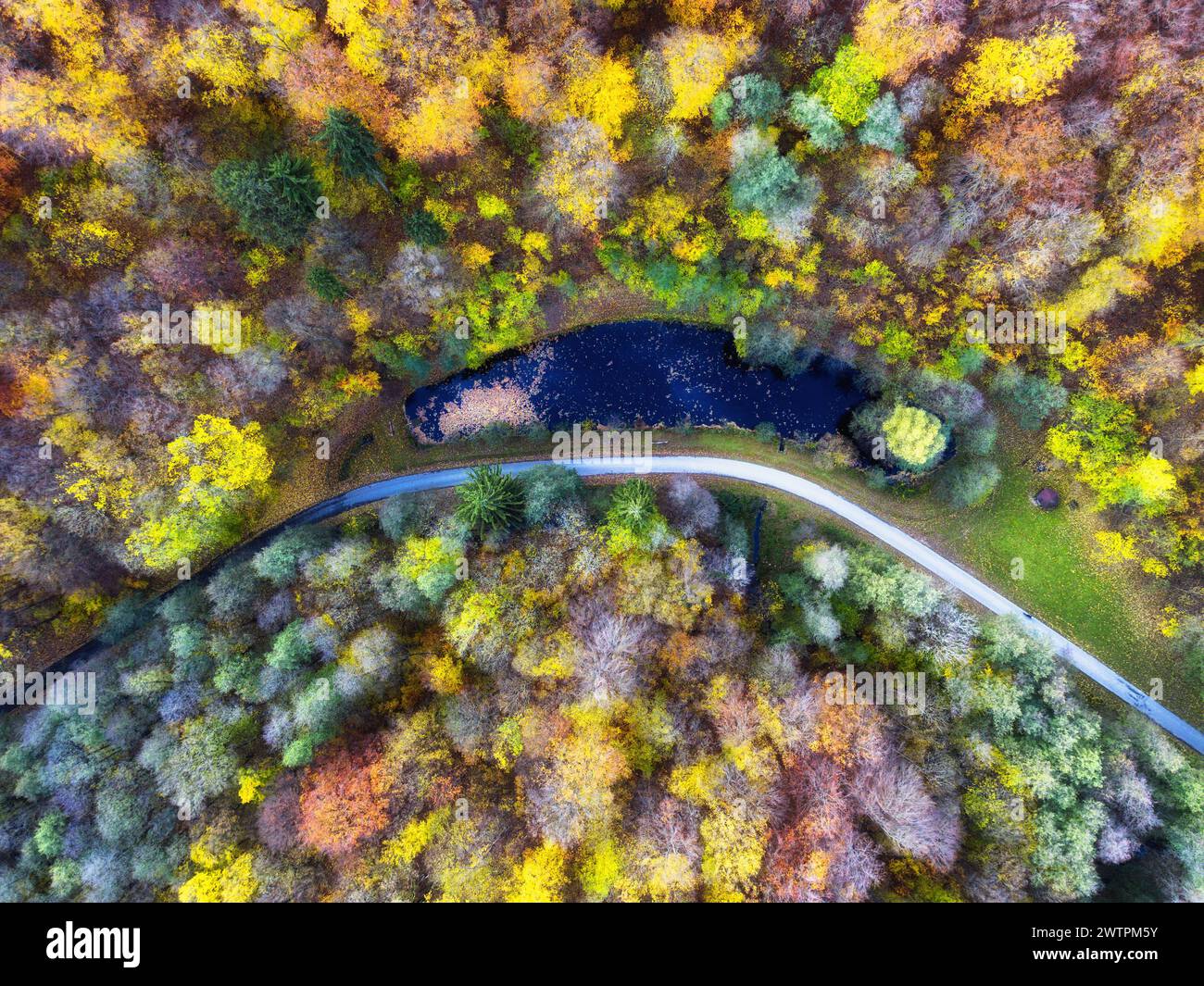 Vue aérienne de drone sur le magnifique paysage forestier d'automne. Arbres colorés dans le bois. Banque D'Images
