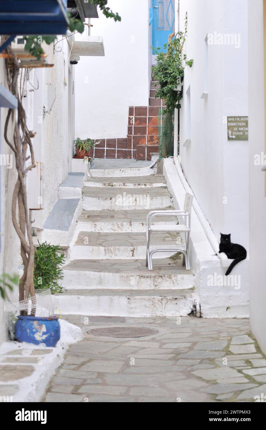 Allée Skiathos avec chat noir, grèce Banque D'Images