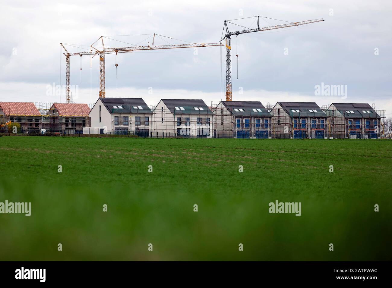 Neubauten auf einem Feld bzw. In einer Neubausiedlung à Glessen. Die deutsche Bauindustrie leidet unter Problemen. Inflation und steigende Zinsen setzen dem Sektor, insbesondere dem Neubaubereich, zu. Themenbild, Symbolbild. Pulheim, 18.03.2024 NRW Deutschland *** nouvelles constructions sur un champ ou dans un nouveau lotissement à Glessen L'industrie allemande de la construction souffre de problèmes L'inflation et la hausse des taux d'intérêt exercent une pression sur le secteur, en particulier le secteur de la nouvelle construction image thématique, image symbolique Pulheim, 18 03 2024 NRW Allemagne Copyright : xChristophxHardtx Banque D'Images