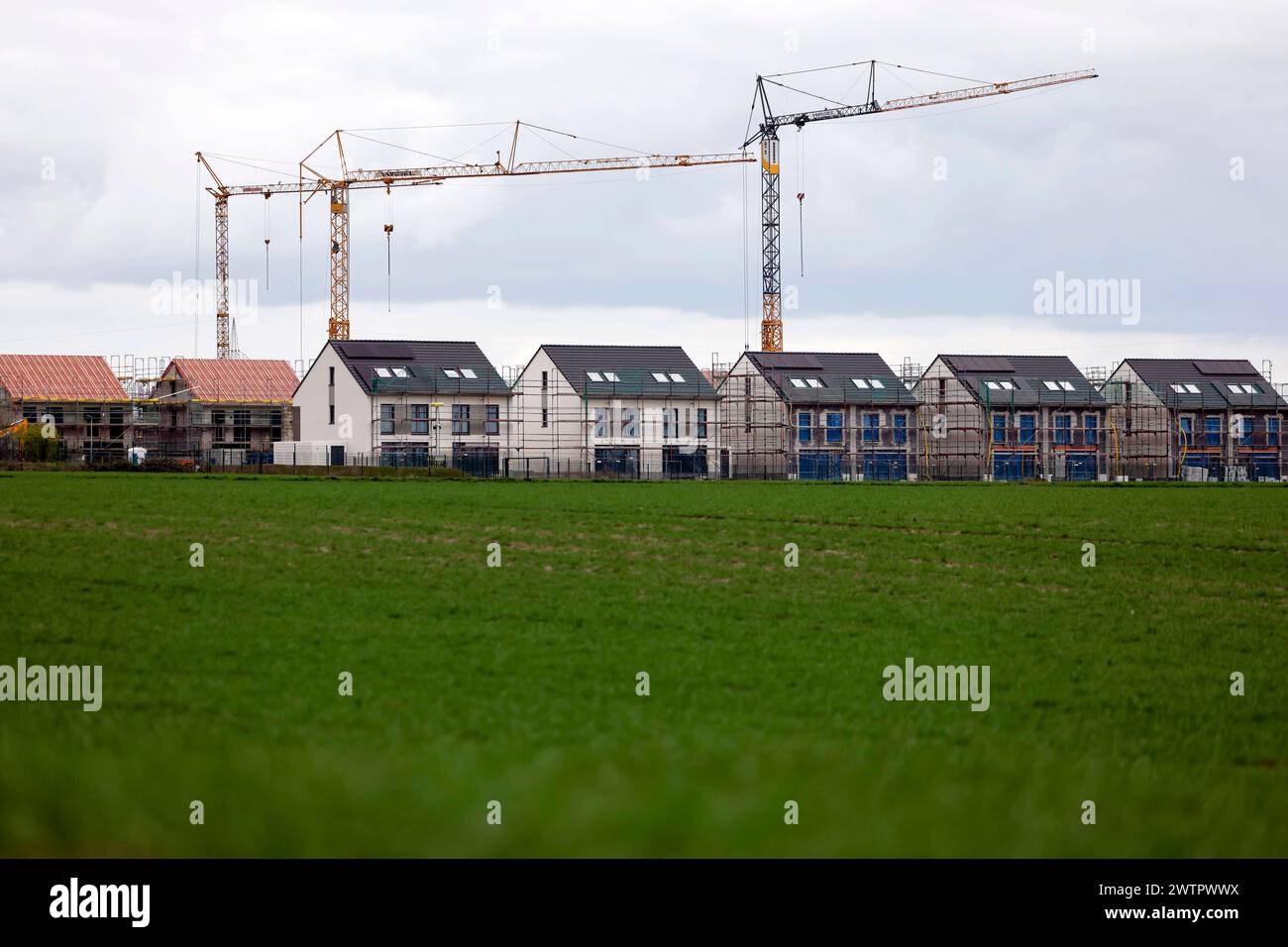 Neubauten auf einem Feld bzw. In einer Neubausiedlung à Glessen. Die deutsche Bauindustrie leidet unter Problemen. Inflation und steigende Zinsen setzen dem Sektor, insbesondere dem Neubaubereich, zu. Themenbild, Symbolbild. Pulheim, 18.03.2024 NRW Deutschland *** nouvelles constructions sur un champ ou dans un nouveau lotissement à Glessen L'industrie allemande de la construction souffre de problèmes L'inflation et la hausse des taux d'intérêt exercent une pression sur le secteur, en particulier le secteur de la nouvelle construction image thématique, image symbolique Pulheim, 18 03 2024 NRW Allemagne Copyright : xChristophxHardtx Banque D'Images