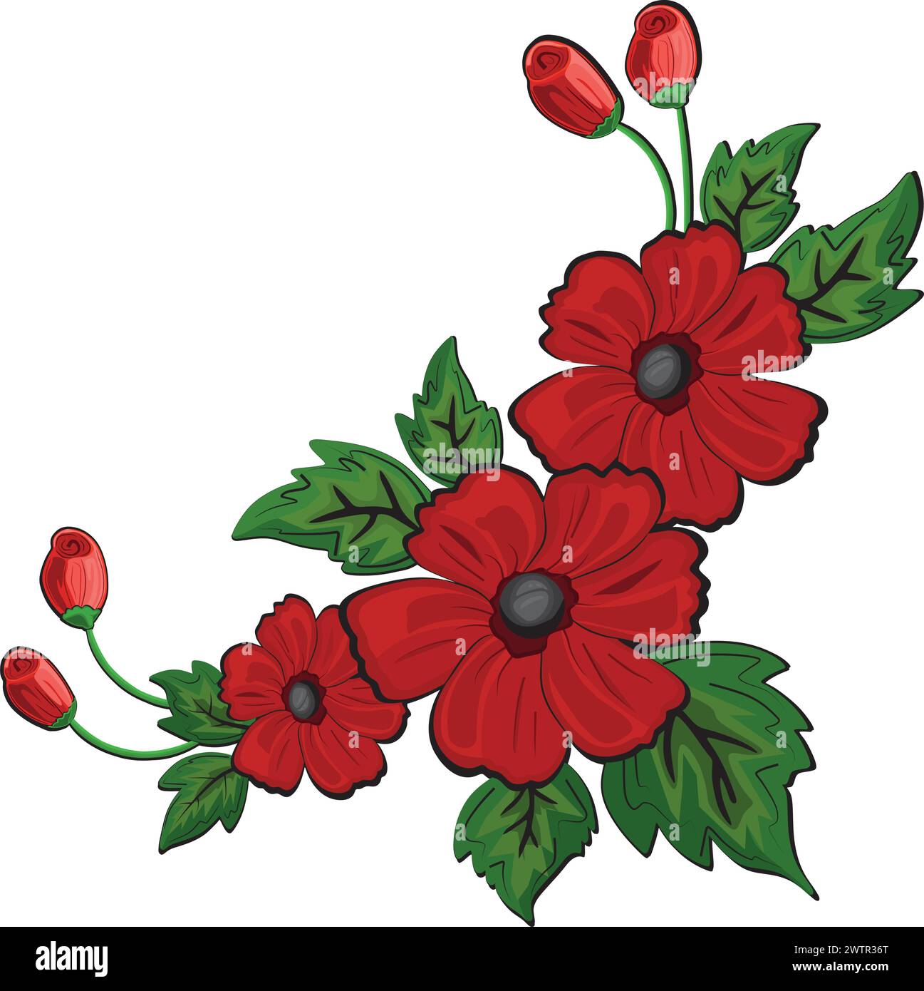 Illustration d'un beau bouquet de fleurs de ruche avec des bourgeons de fleurs de ruche Illustration de Vecteur