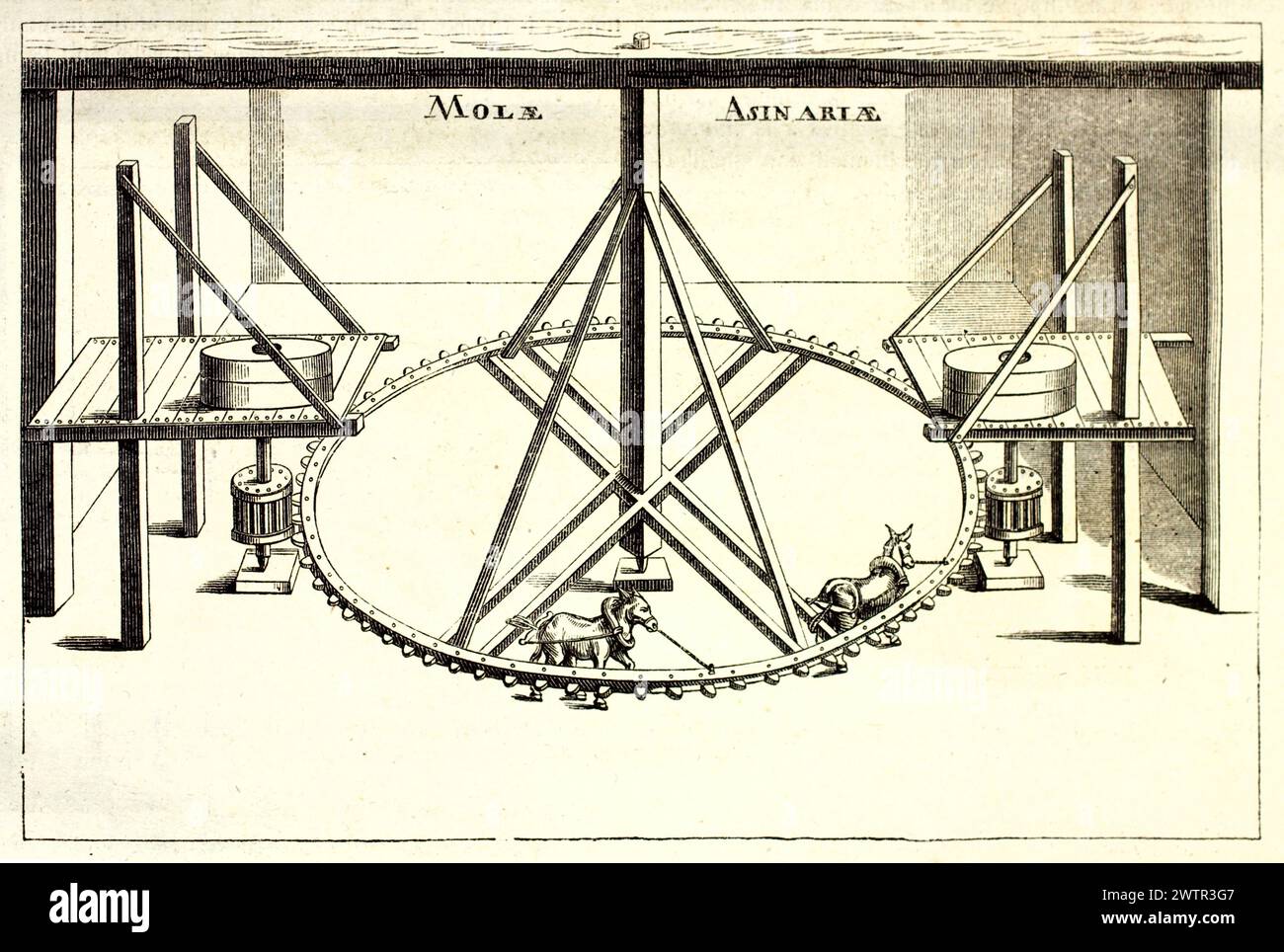 Ancienne illustration gravée d'un moulin double (Mola Asinaria) alimenté par des ânes, avec des engrenages détaillés et une structure interne pour le broyage du grain. 1852. Banque D'Images