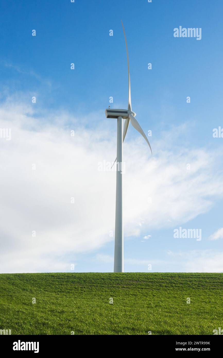 photographie d'un moulin à vent vertical pour la production d'électricité dépassant d'un pré vert. développement durable. Banque D'Images