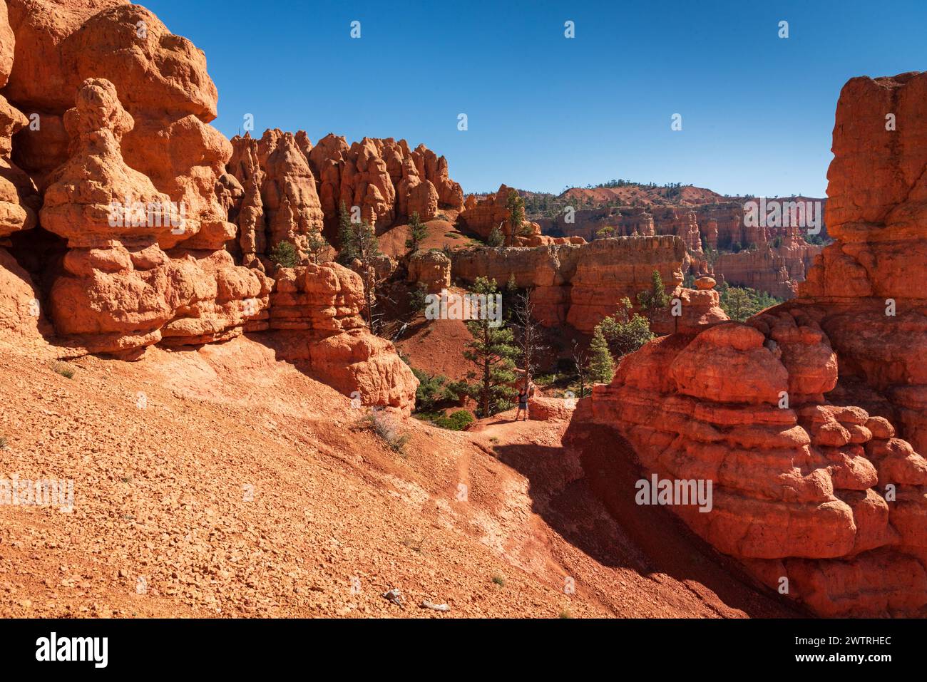 Vue sur le paysage le long de la route panoramique 12, Red Rock Canyon, Dixie National Forest, Utah, États-Unis. Banque D'Images