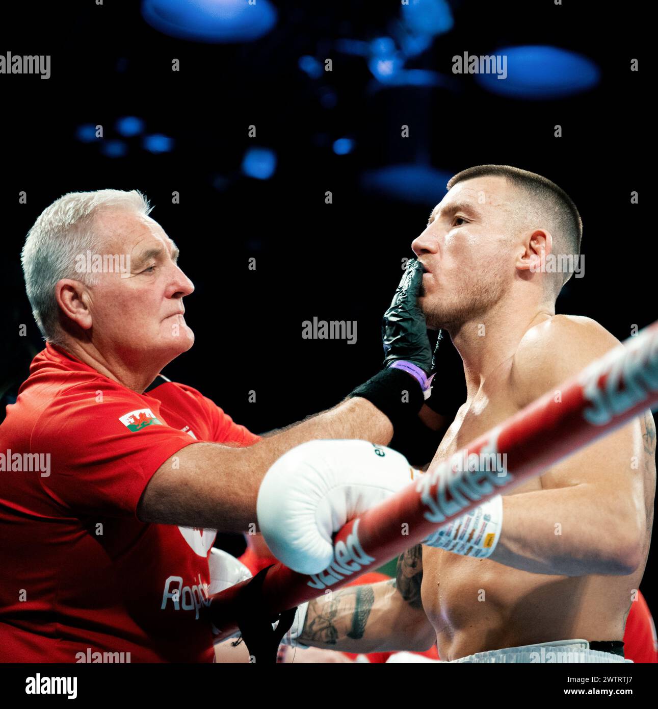 Hamzah Sheeraz v. Liam Williams - WBC Silver et Commonwealth Middleweight Championships pendant Queensberry promotions Show Sheeraz vs Williams à Copper Box Arena le samedi 10 février 2024 à LONDRES, ANGLETERRE. Banque D'Images