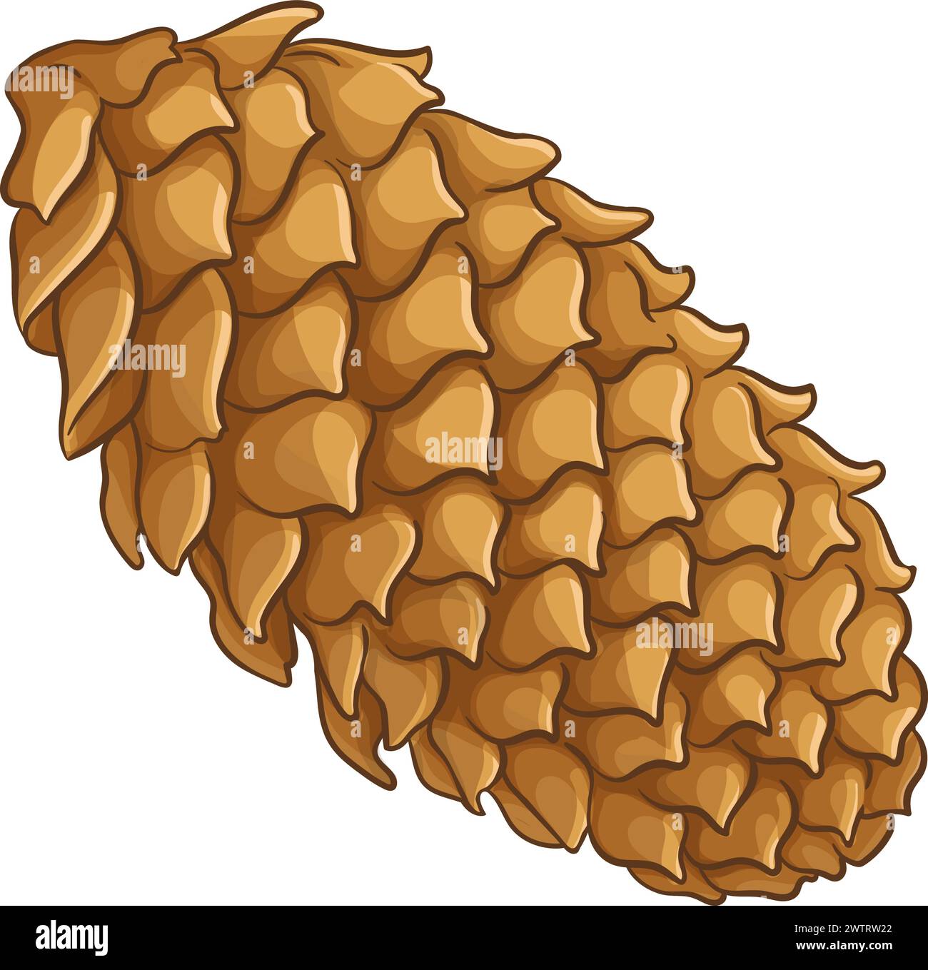 Illustration détaillée colorée de cônes de sapin Illustration de Vecteur