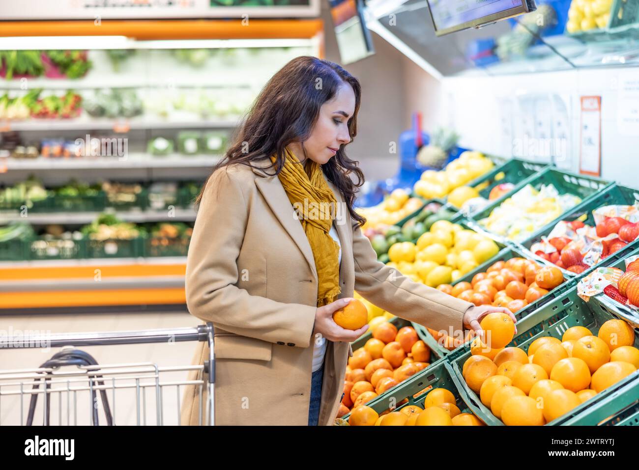 Femme magasinant pour l'épicerie avec un panier. Une jeune brune achète des fruits dans un supermarché. Banque D'Images