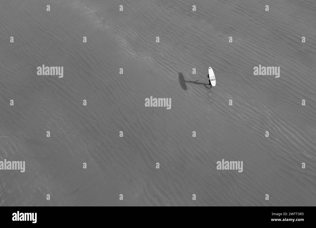 Tofino surfer sur la plage Banque D'Images