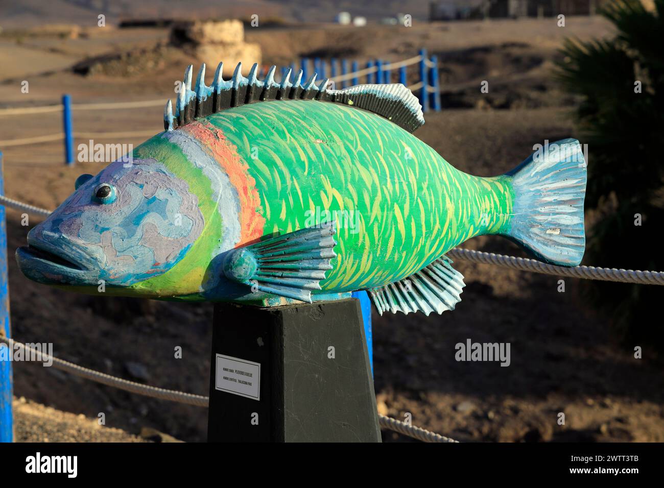 Sculpture de wrasse ornée, Thalassoma Pavo, au-dessus du port de pêche, El Cotillo, Fuerteventura, îles Canaries, Espagne. Banque D'Images