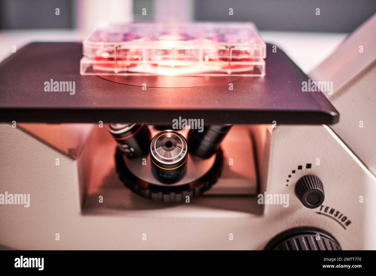 Microscope sous lumière examinant le matériel adn de près Banque D'Images