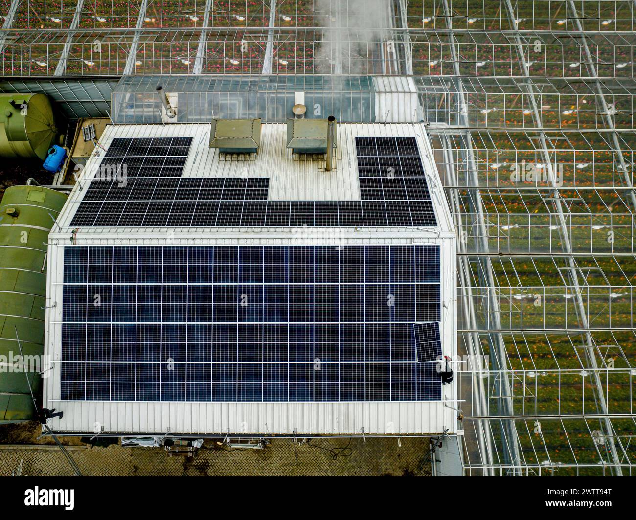 Panneaux solaires sur un toit de serre fournissant une énergie durable Banque D'Images