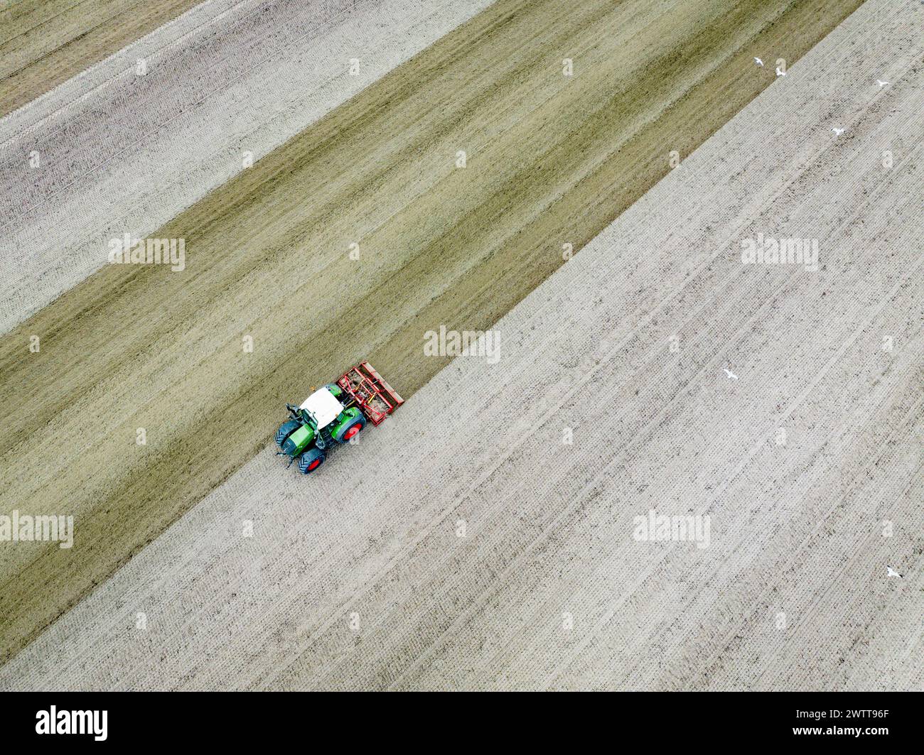 Agriculteur dans son traceur lignes de labourage dans son champ prêt pour la récolte Banque D'Images