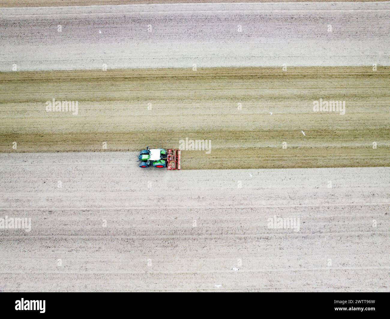 Un tracteur solitaire labourant la toile terreuse Banque D'Images