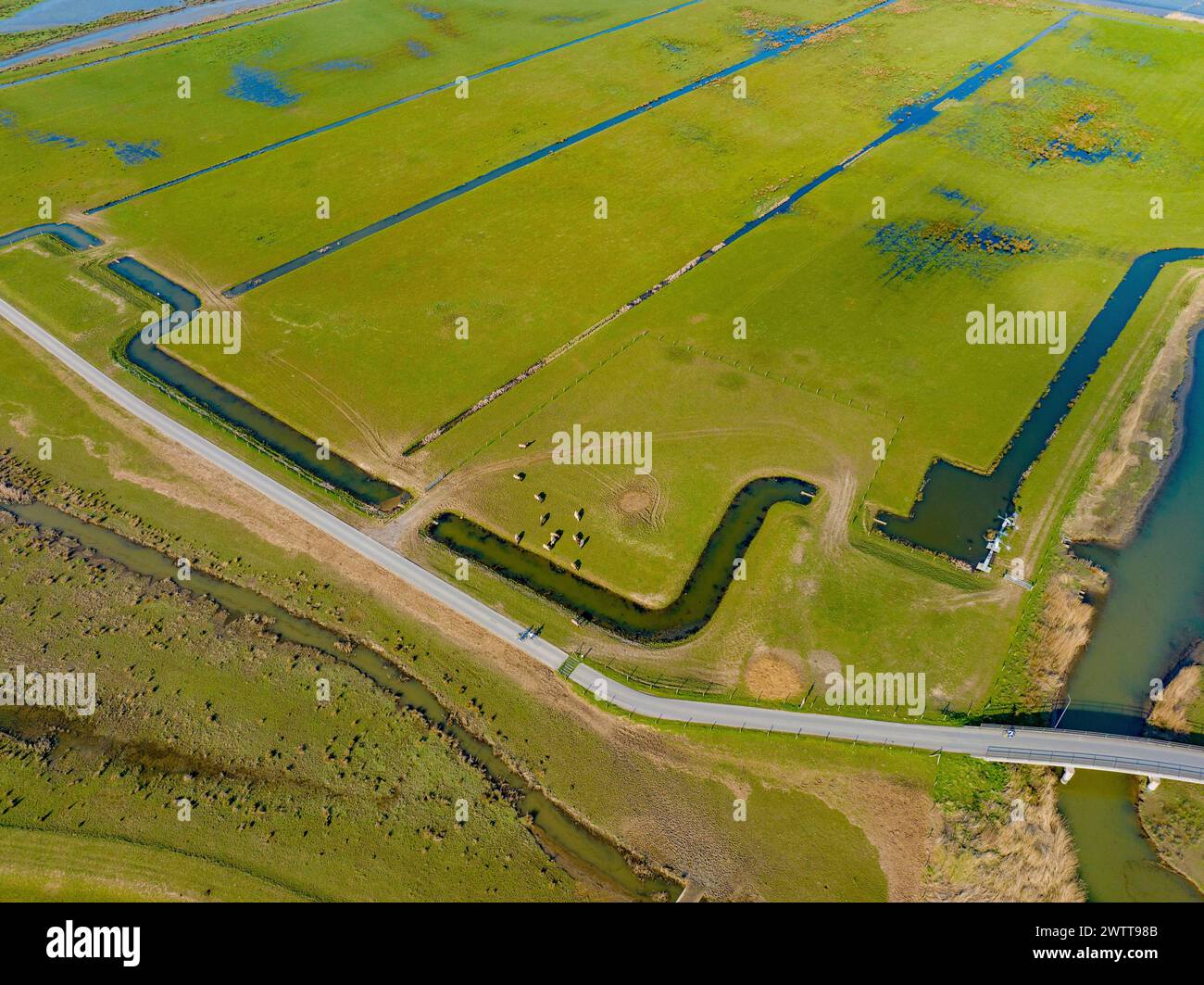 Le parc national néerlandais de Biesbosch, vue aérienne des terres humides. Banque D'Images